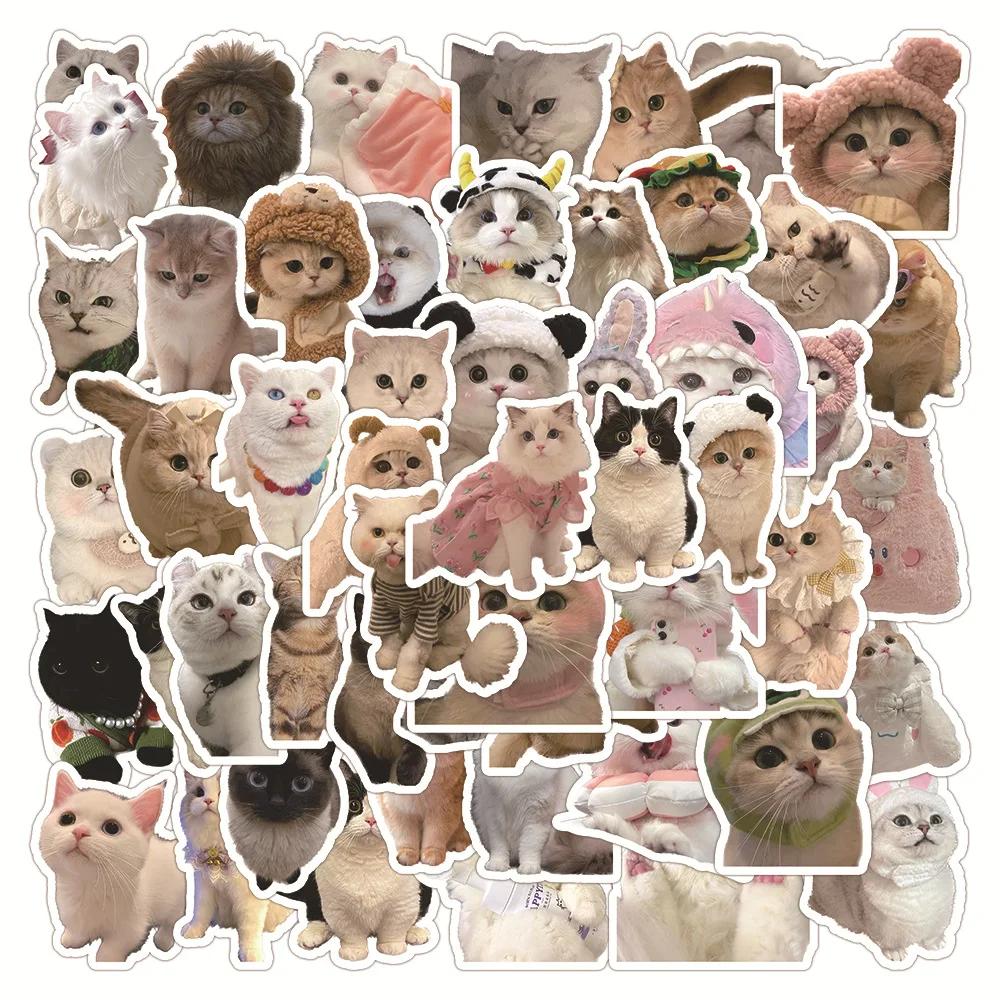 防水漫画猫落書きステッカー、美的装飾ステッカー、荷物、カップ、ギター、ラップトップ、電話、ノートブック、子供、10個、30個、60個